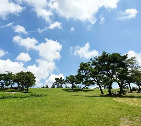 화랑의언덕