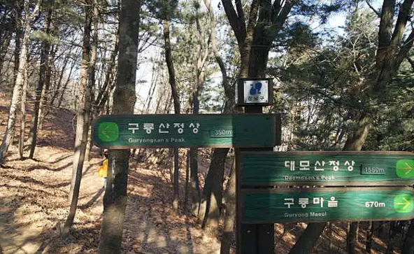 구룡산