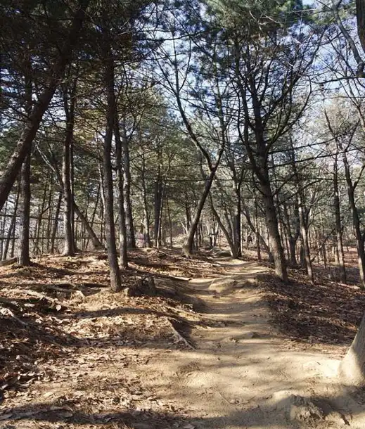 구룡산