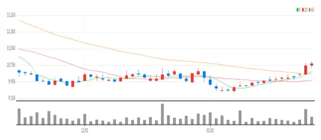 노바렉스 일봉차트