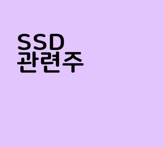 SSD 관련주