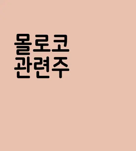 몰로코  관련주