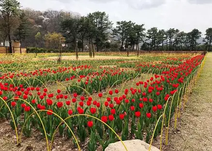 서운동산