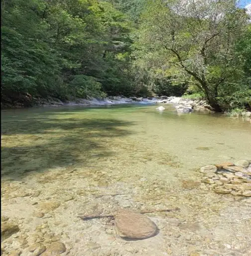 계곡메사오토캠핑장펜션