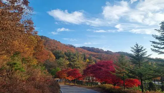 운악산자연휴양림