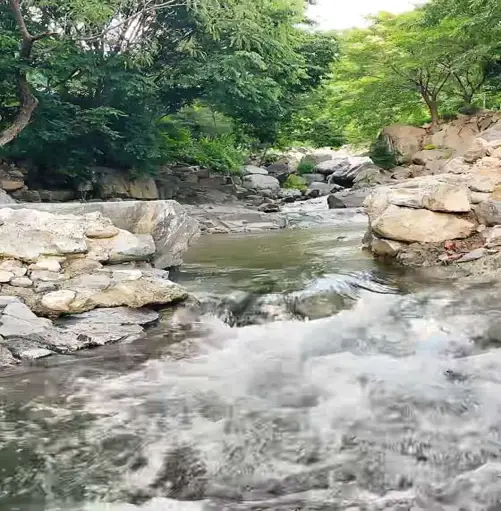 해바라기펜션&풀빌라