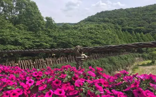 상소동 산림욕장