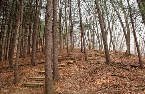 연인산