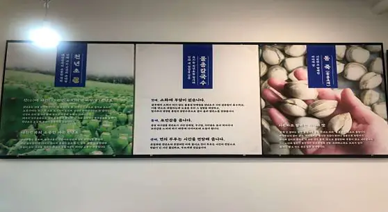 서래애 물총칼국수