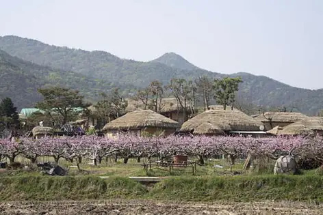 부용대