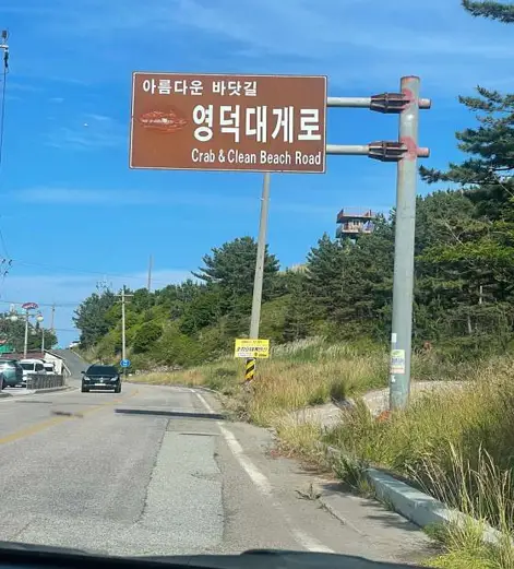 영덕도천리도천숲