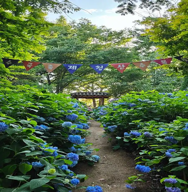 청산수목원