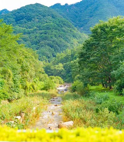 문경새재 오픈 세트장